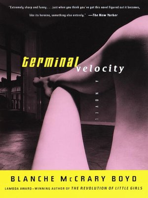 cover image of Terminal Velocity